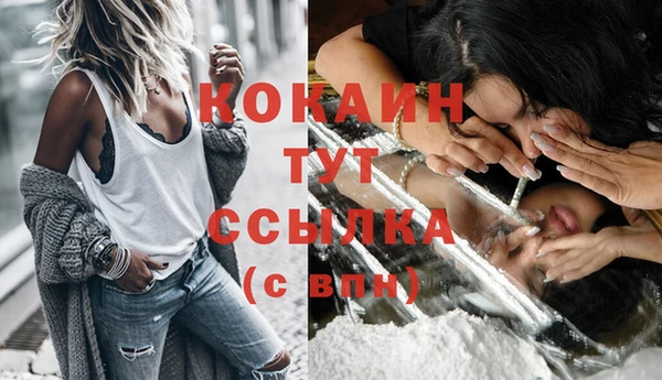 хмурый Надым